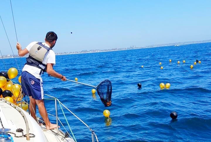 Featured image for “Sailors and the Environment"