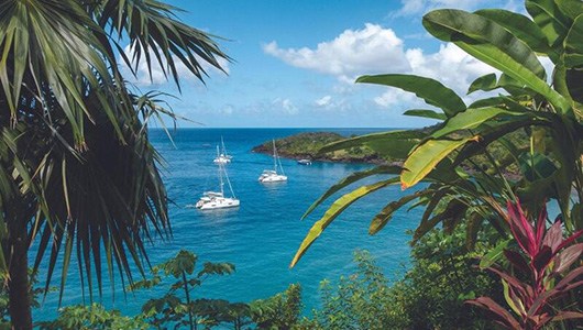 Southern Caribbean Cruising Guide - Online Class
