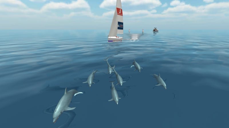 Sailing Challenge Dolphin